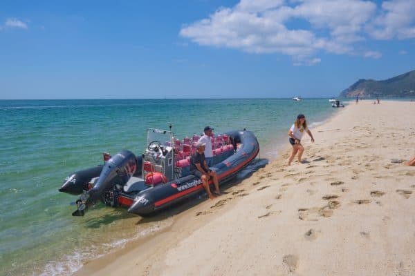 Passeio de barco Foz do Sado, Troia e Arrábida, Setúbal
