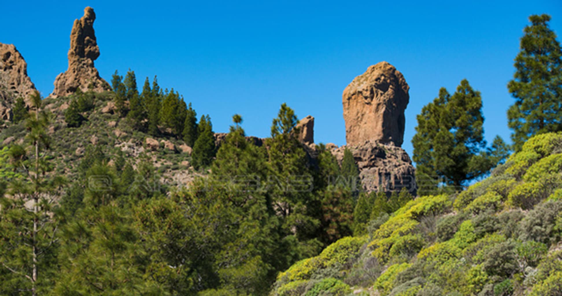 Senderismo Ruta Roque Nublo