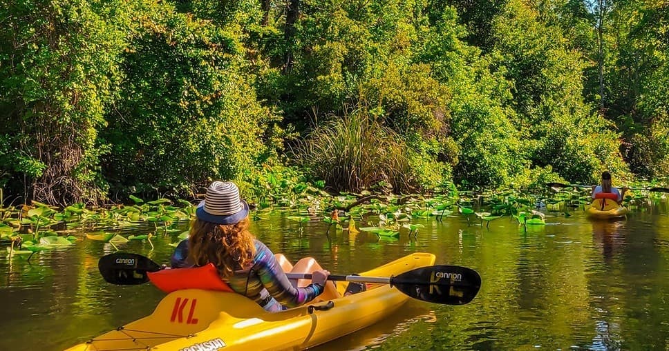 Eco River Adventure Shuttle Run