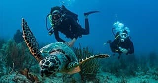 2 Reefs Dive