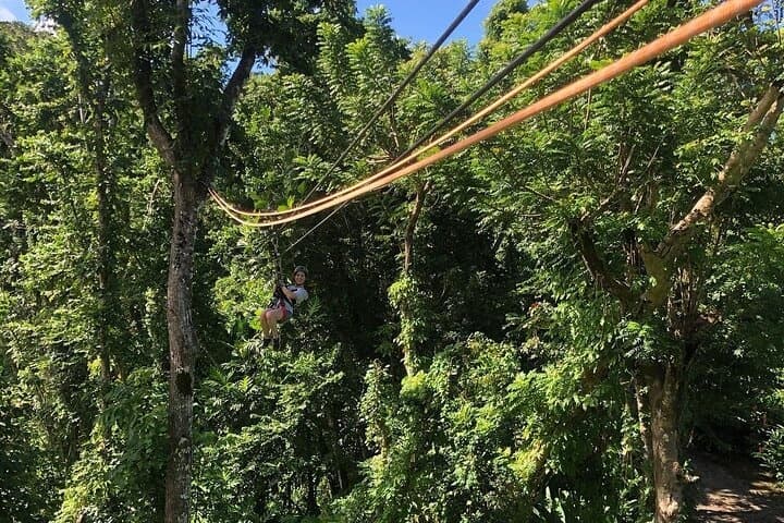 Zipline Experience!