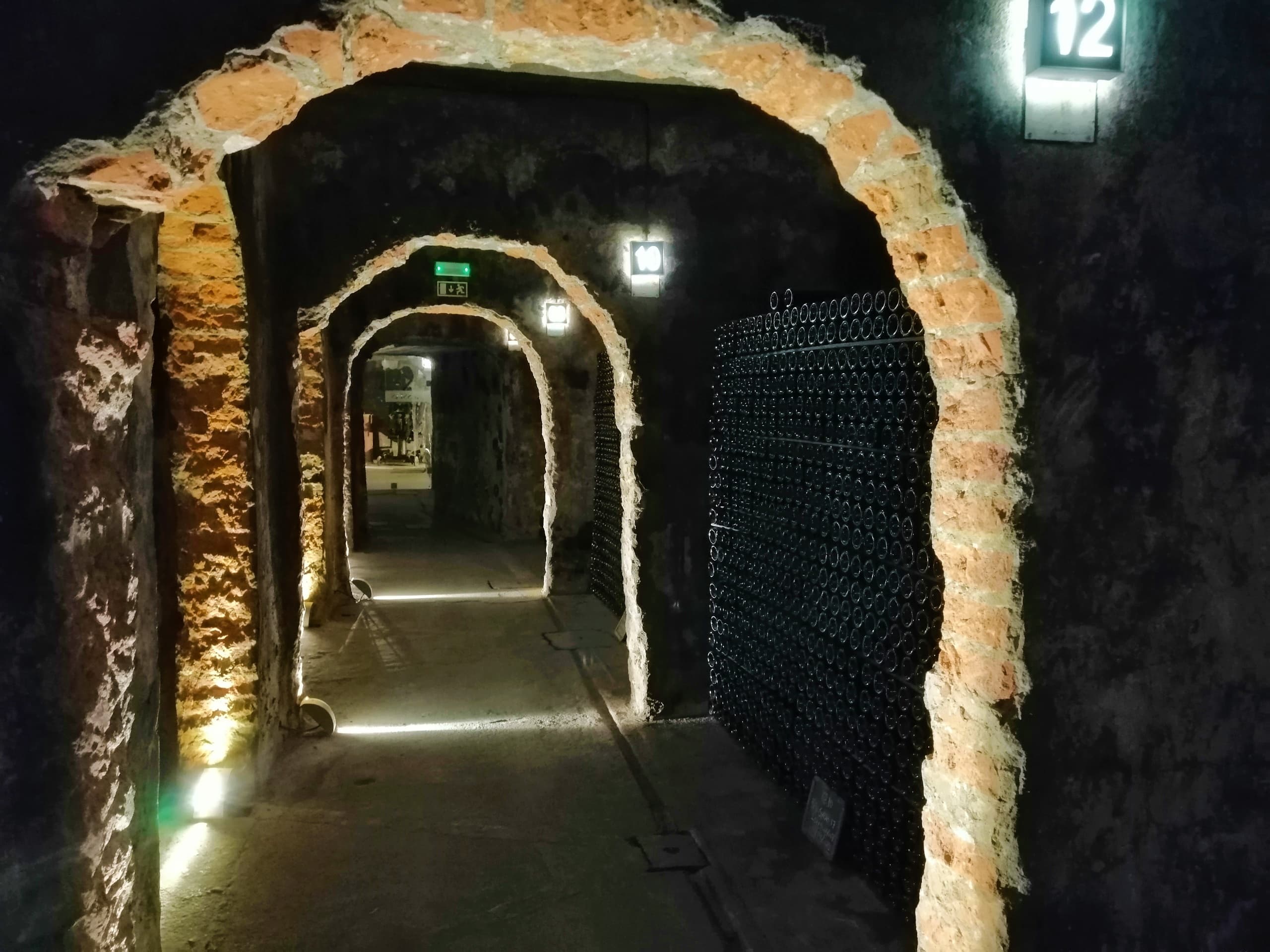Bairrada Winery Route, half day from Coimbra