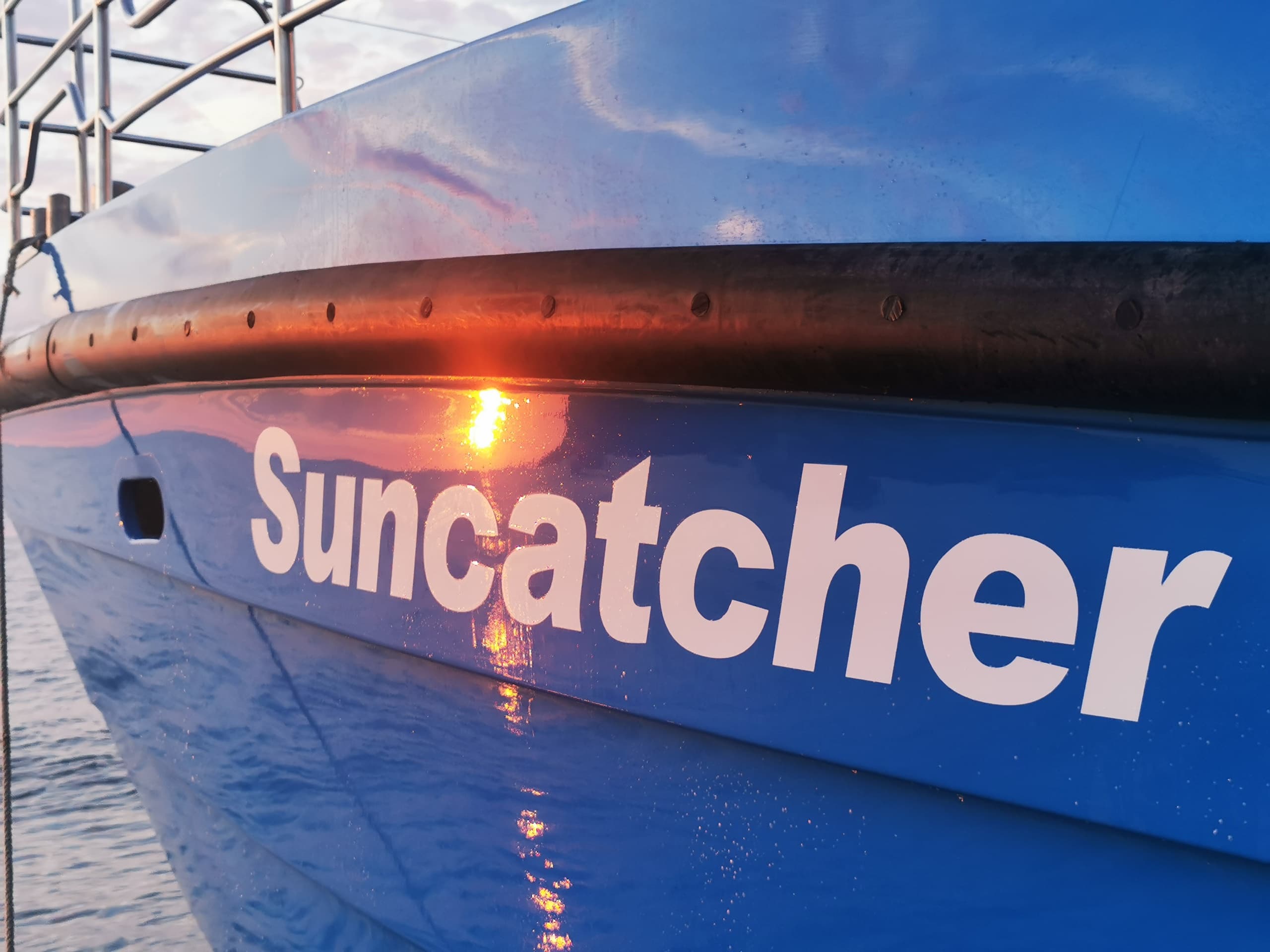 1.5 Hour Evening Cruise - Dolphin and Wildlife Spotting Trip on Suncatcher