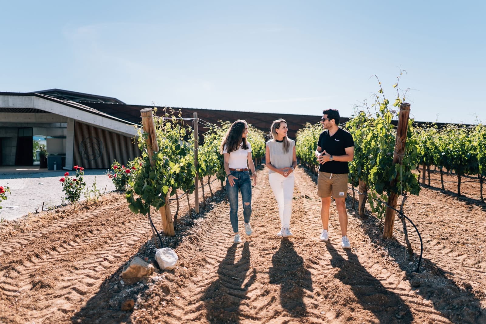 Ribera del Duero