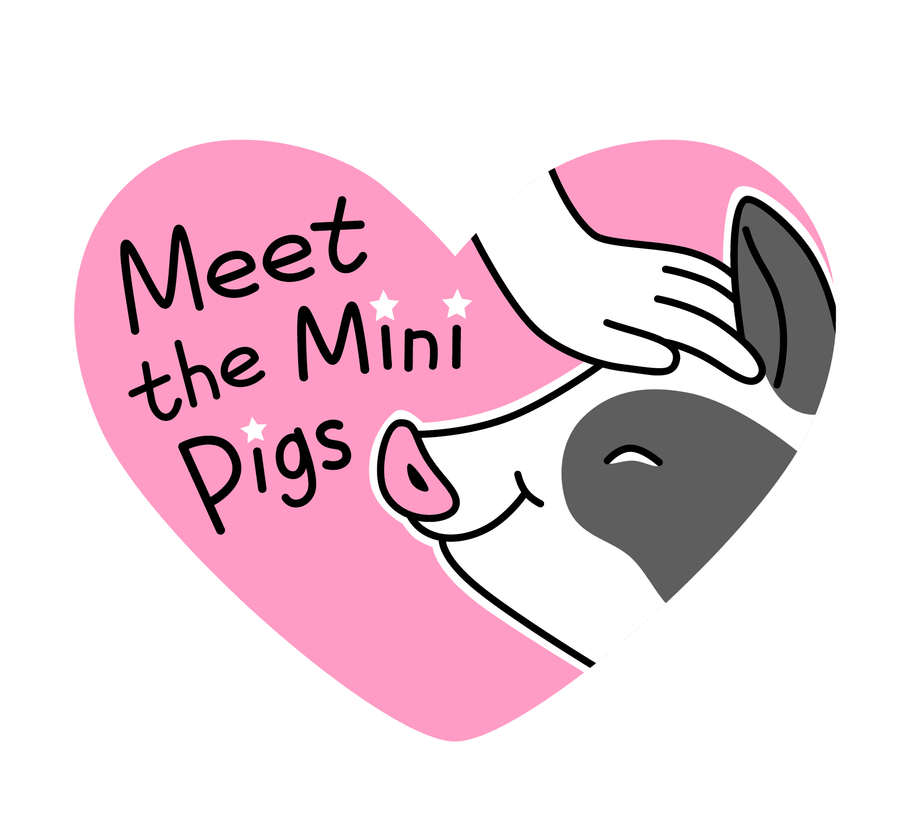 Meet the mini pigs