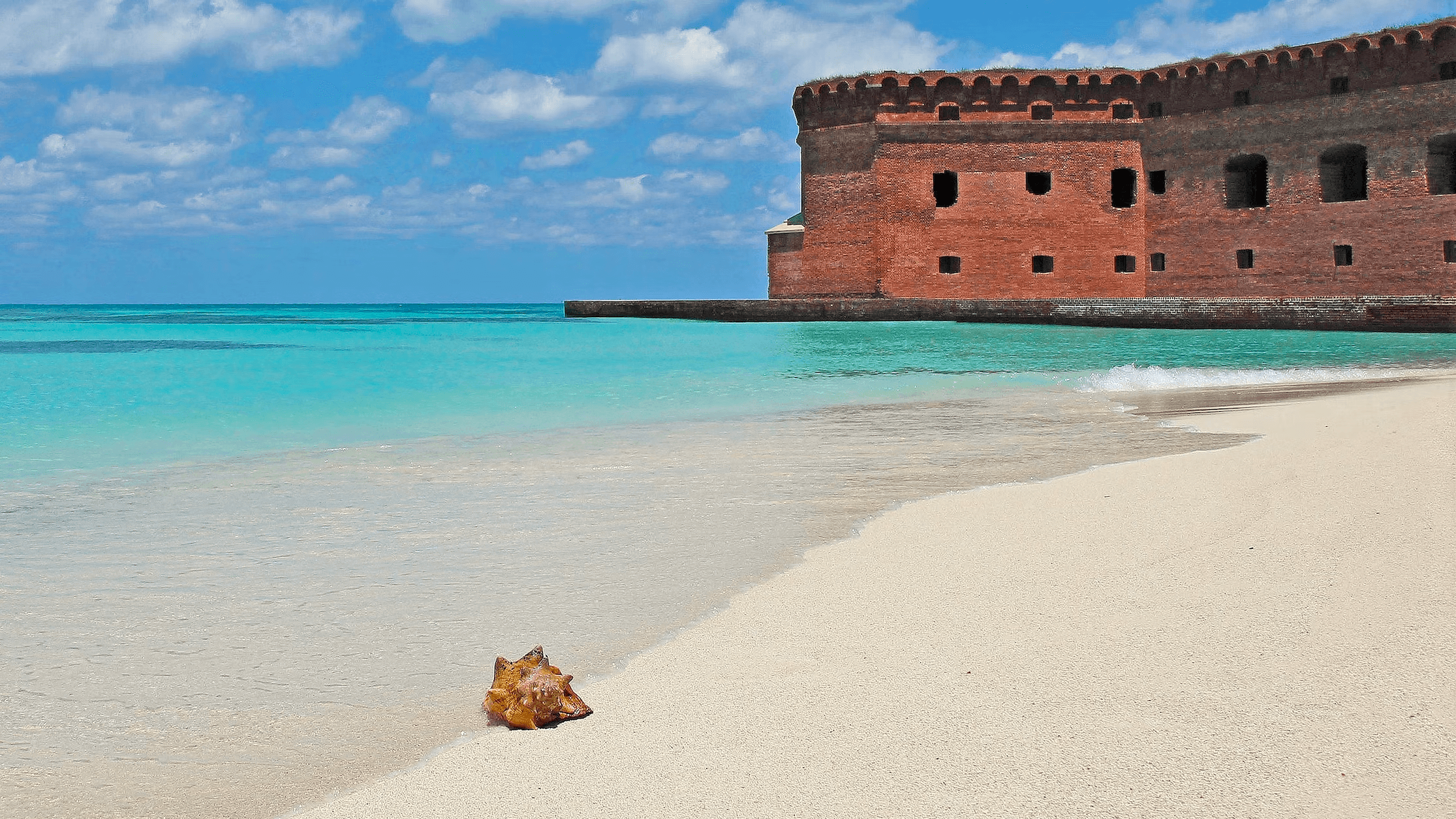 Fort Jefferson Adventure