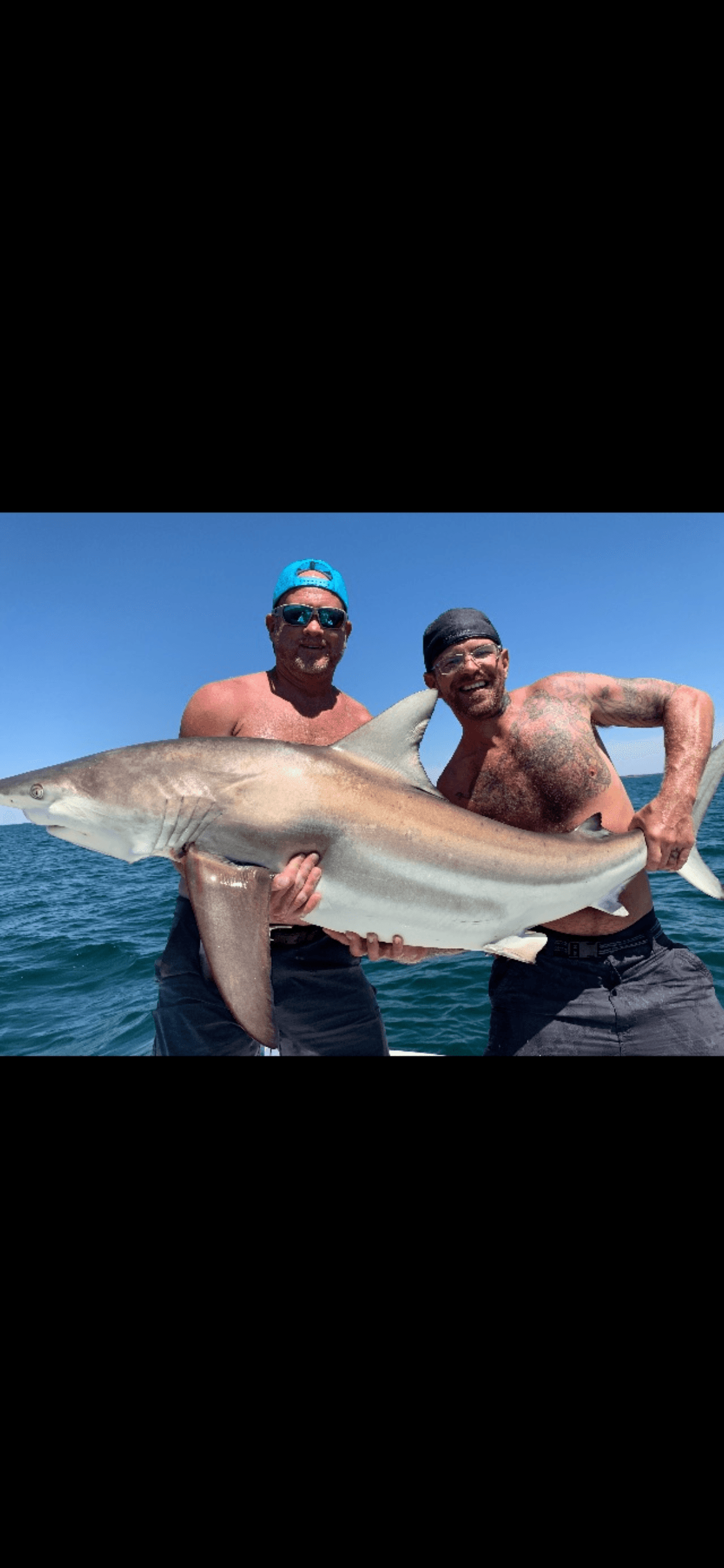 Four Hour Tampa Shark Fishing