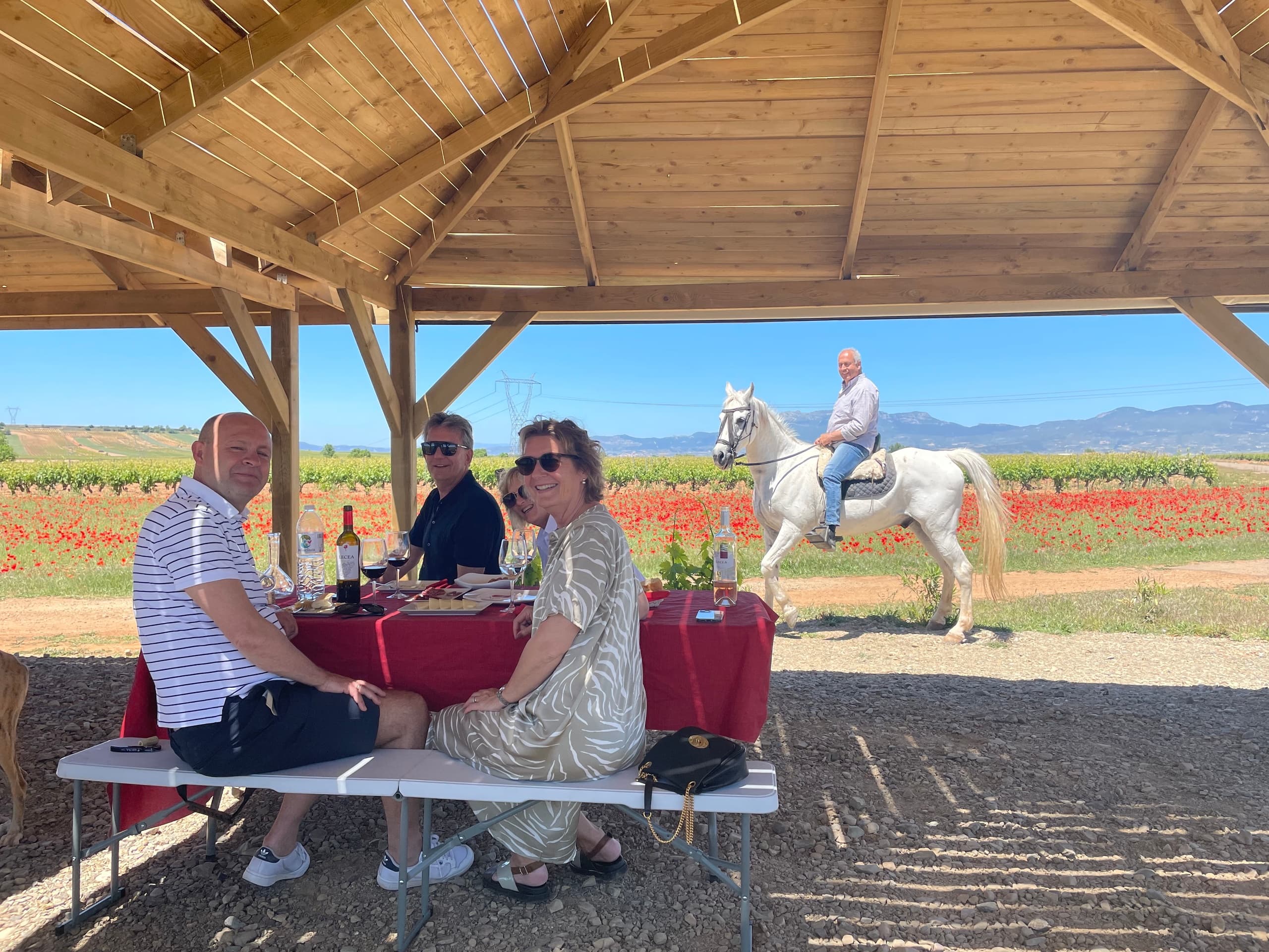 Two Rioja Wineries & Picnic Lunch from Bilbao
