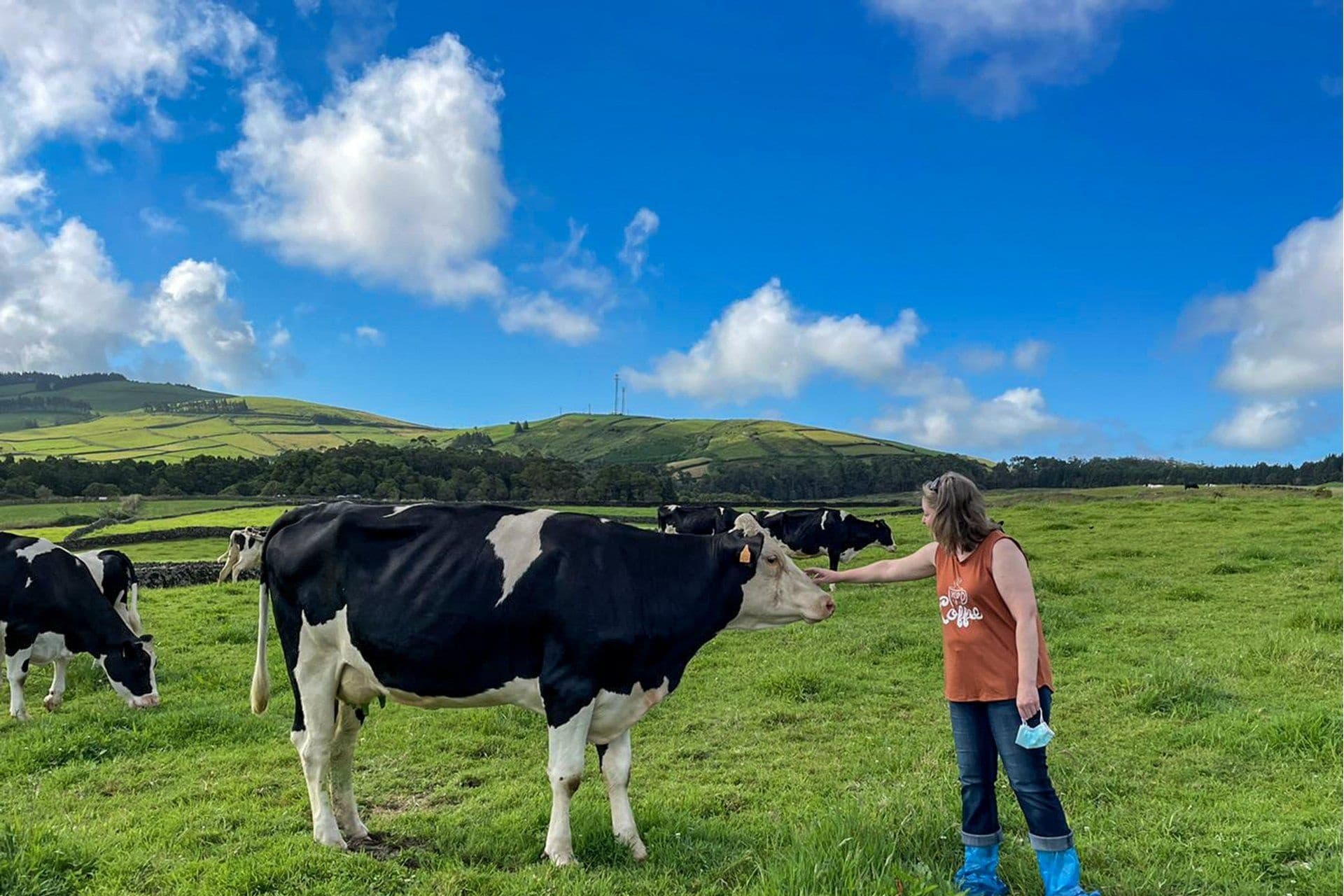 Farm Visit and Cow Milking Experience