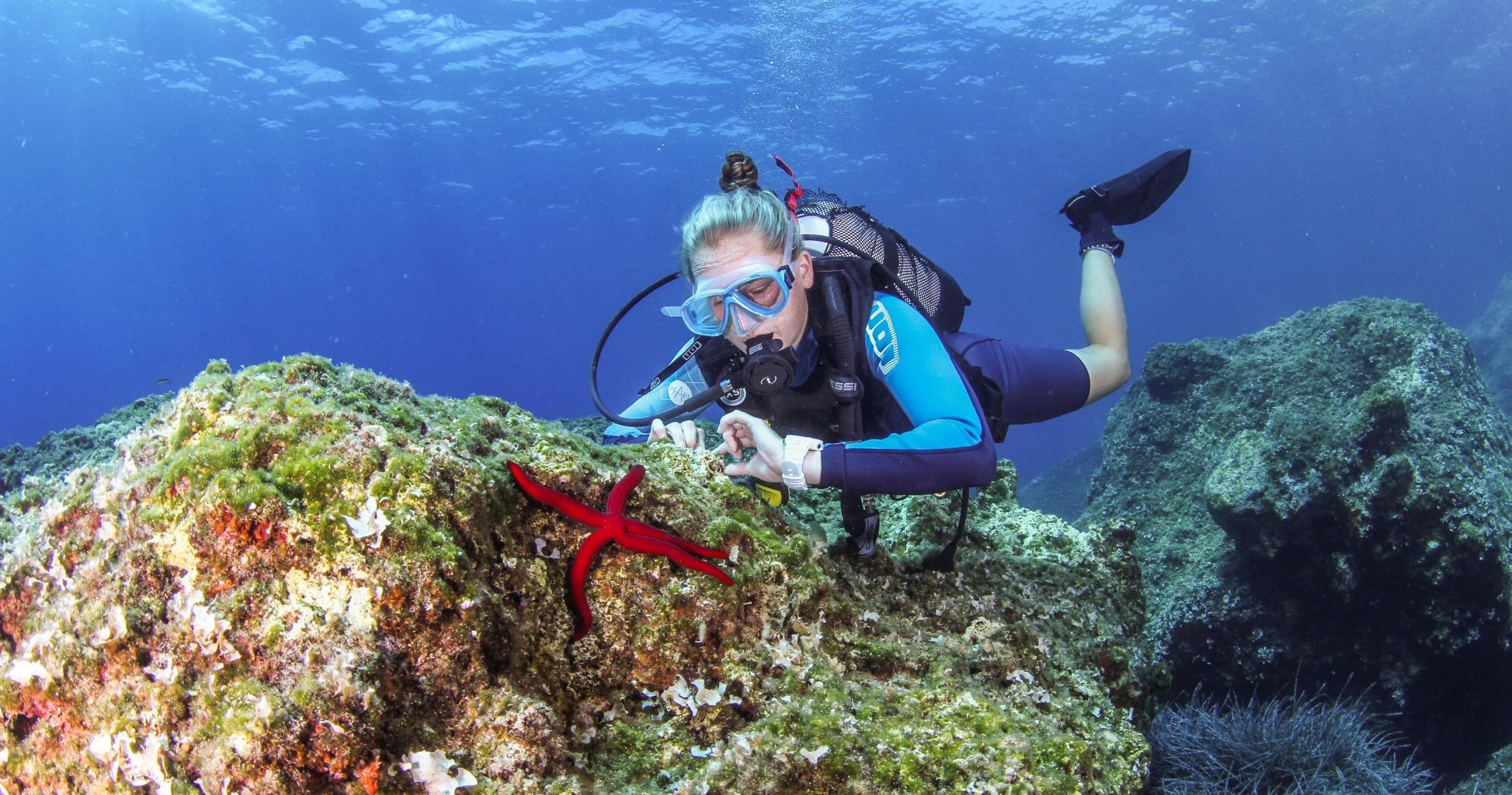 Try Scuba Diving (Shore or Boat Dive)