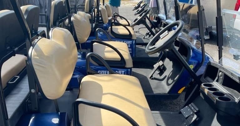 1-Day Golf Cart Rental