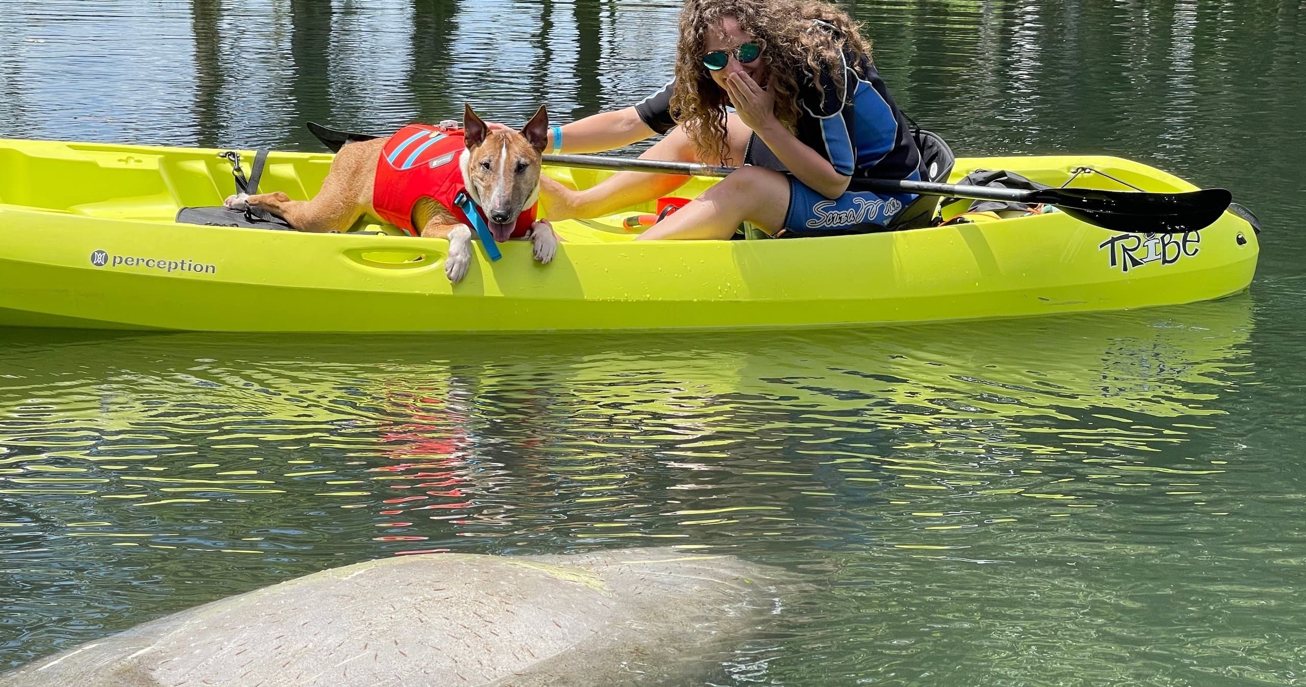 Private Guided Kayak Manatee Swim Tour - King's Bay