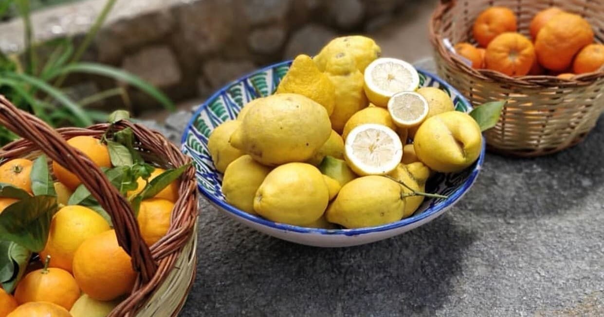Mallorca Orange Farm Experience