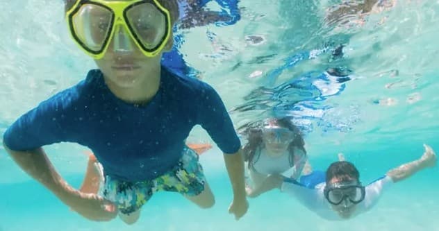 Sarasota Snorkeling Trips