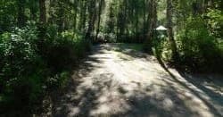 Camp Site 50
