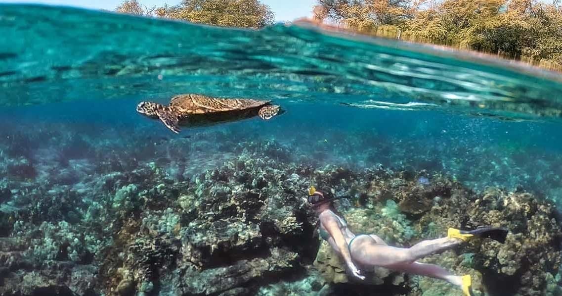 Kona Snorkeling in Pawai Bay