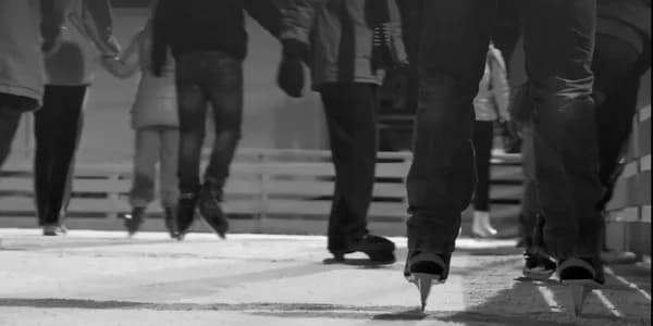 Public Skate