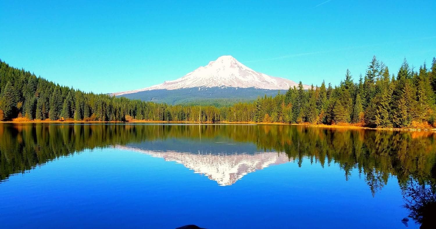 Full Day Gorge Waterfalls & Mt. Hood Tour