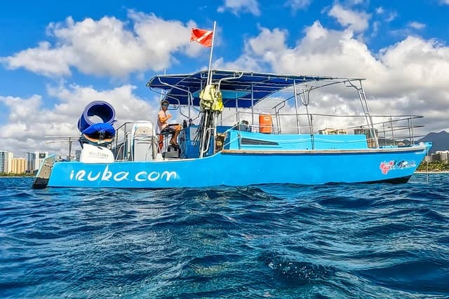 Island Princess Private Charters