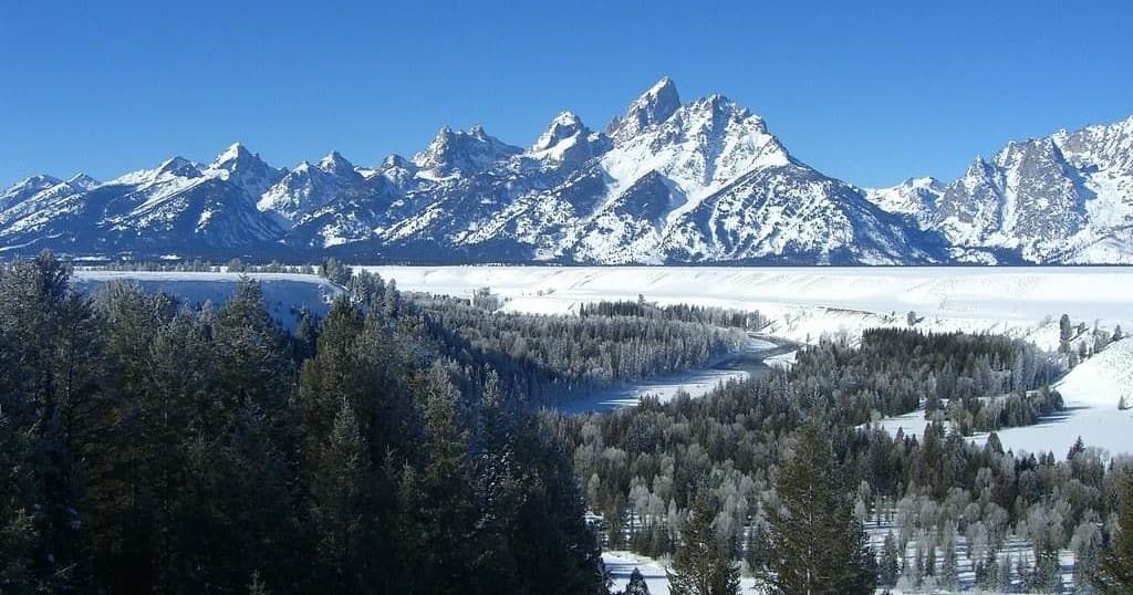 Winter Private Safari - Half Day