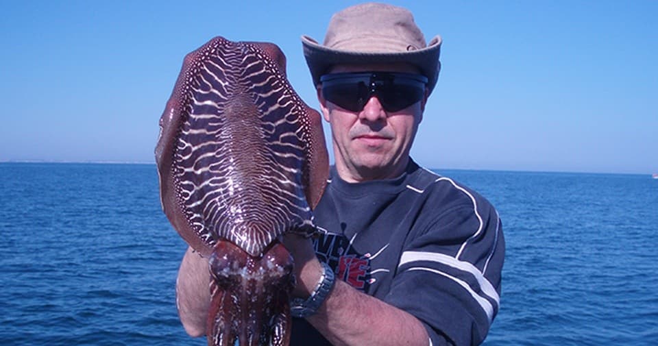 Pesca de Chocos y Calamares