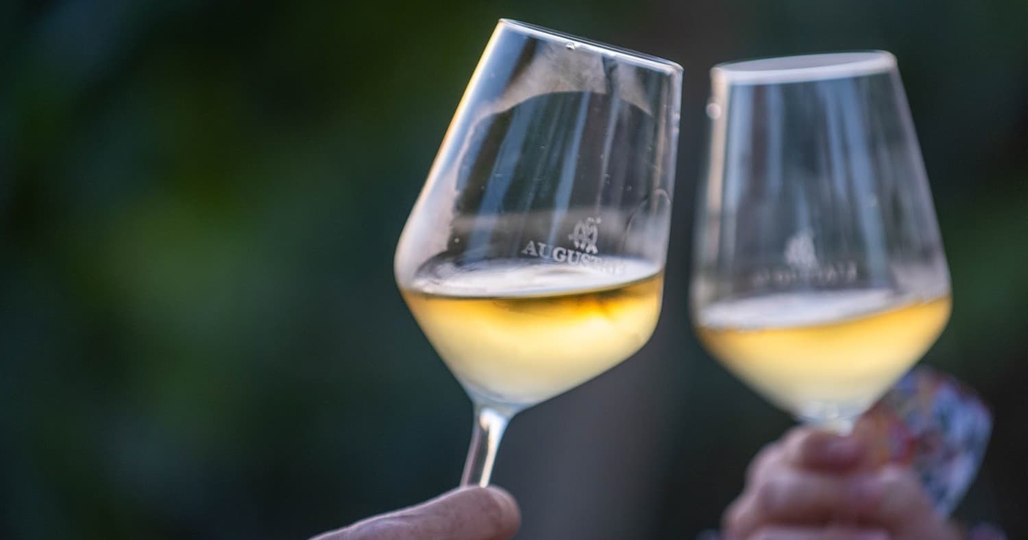 Sicily Wine Experience