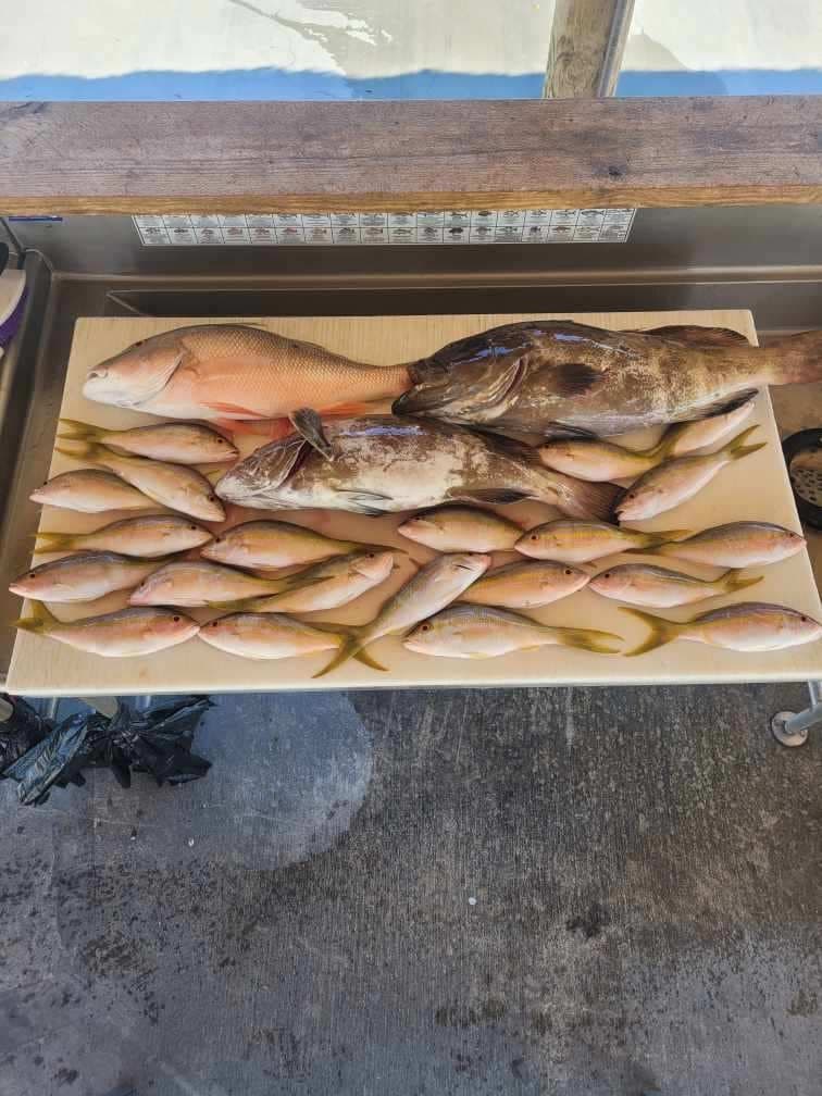 Reef Fishing