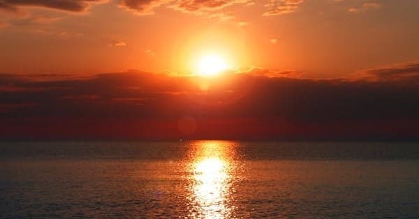 Dolphin-Sunset Cruise