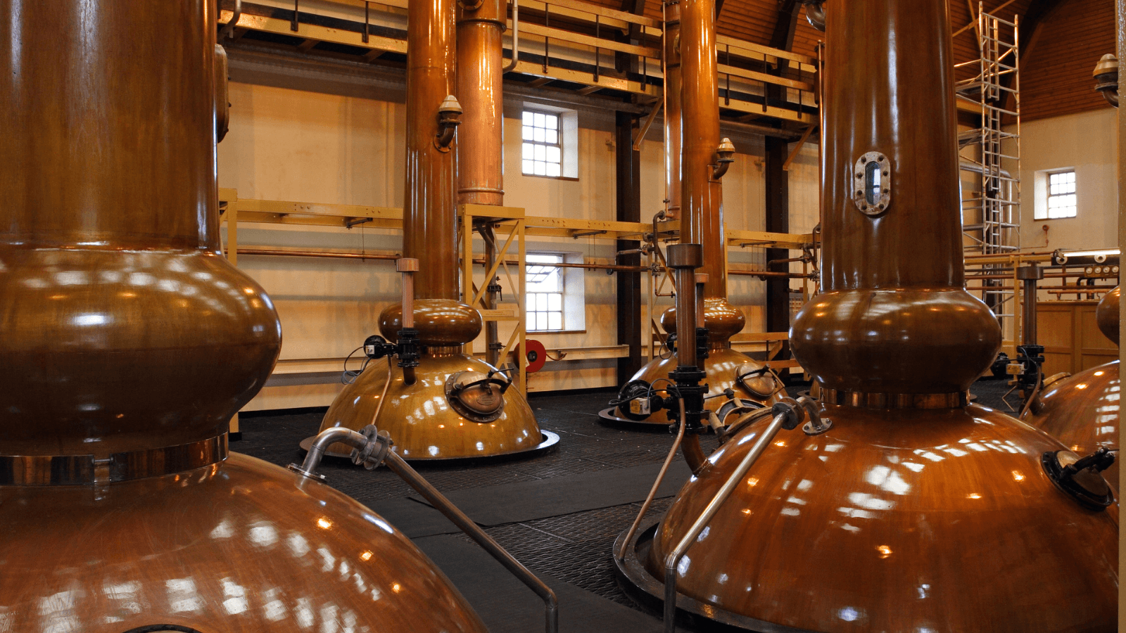 Speyside Whisky Tour