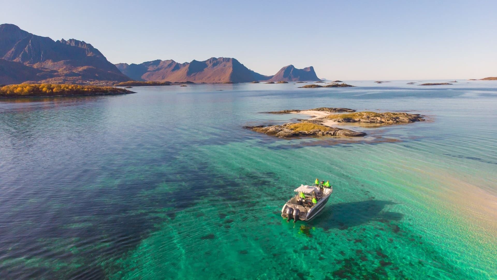 Wildlife & fjord safari by boat