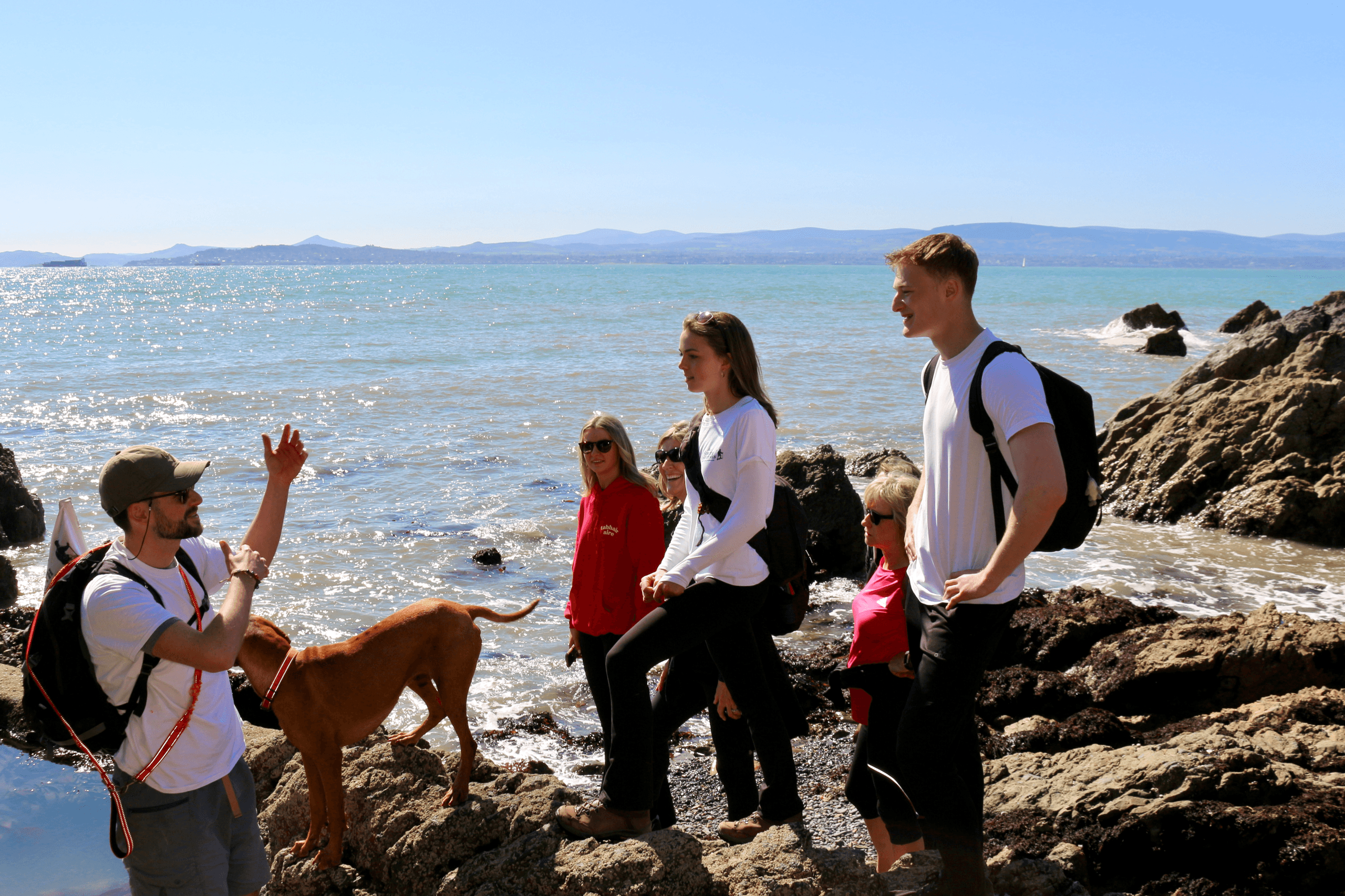 Howth Safari Hiking Tour - PRIVATE