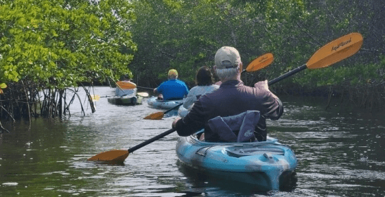 Evening Tour Guided Kayak Tour