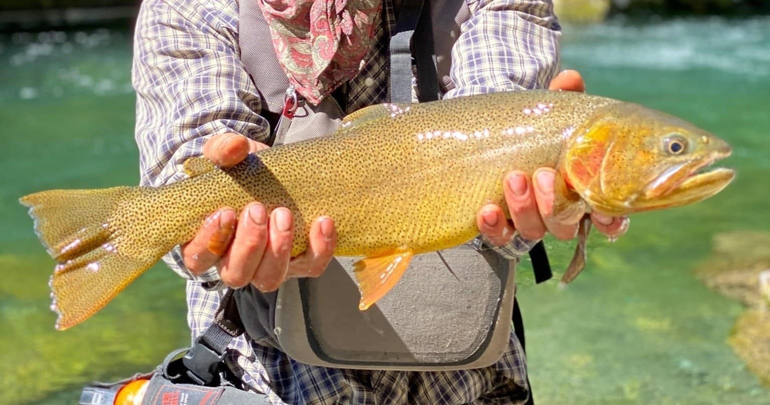 1/2 Day Walk & Wade Fly Fishing