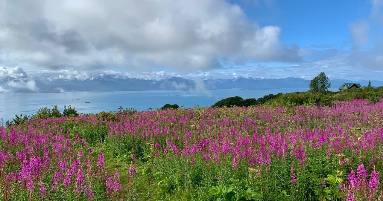 Inspiration Ridge Preserve Guided Tours