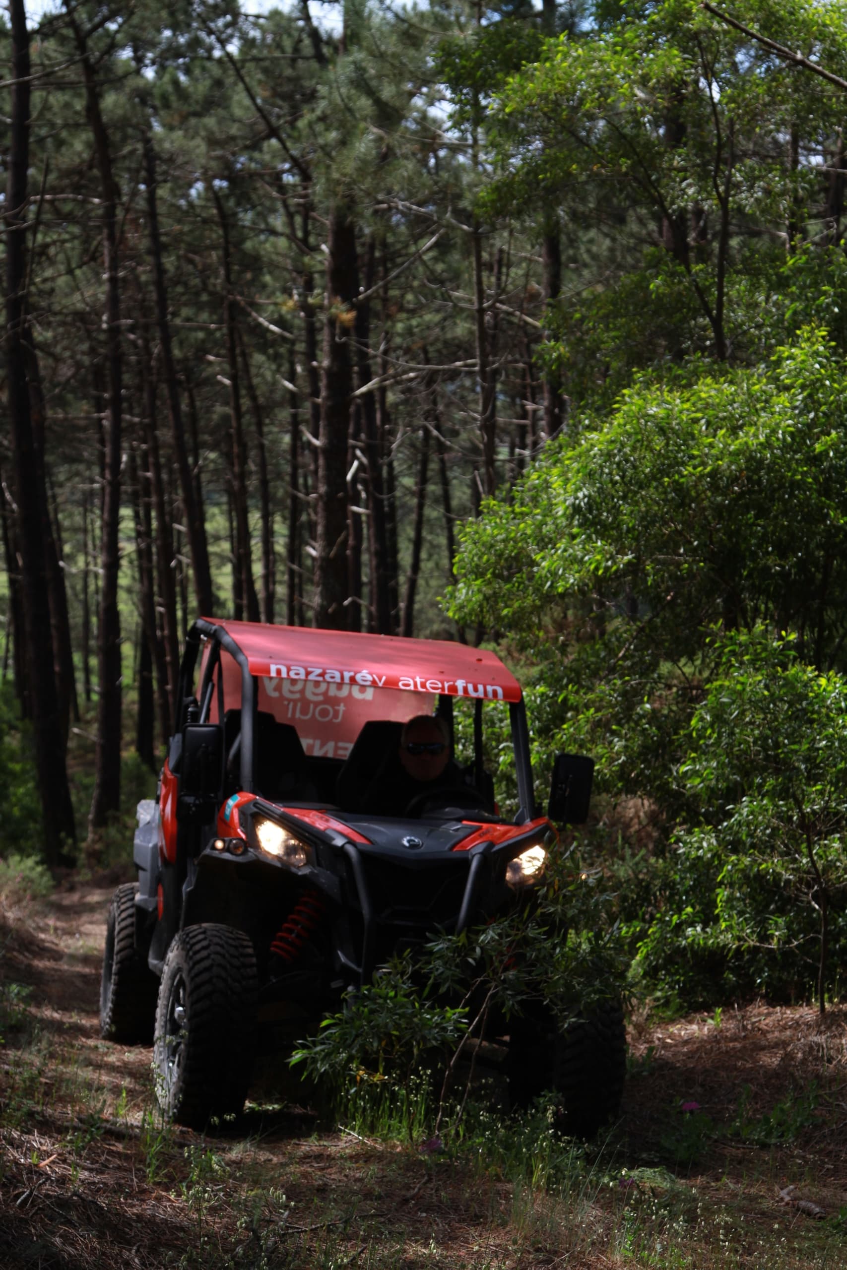 Pinhal Buggy Tour