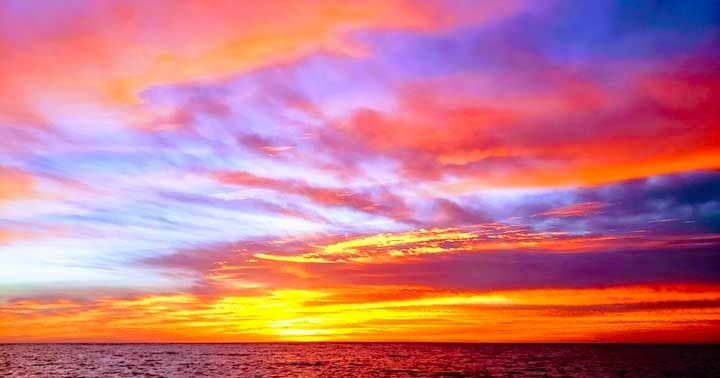 Sunset Dolphin Cruise - Anna Maria Island