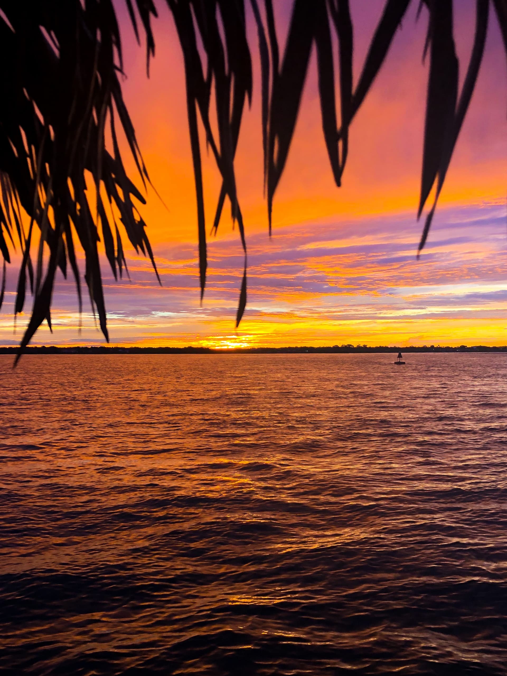 Sunset Cruises