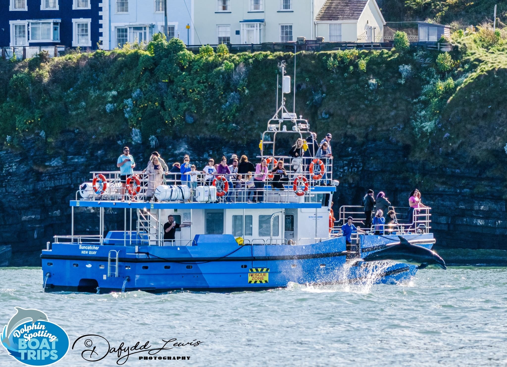 1.5 Hour Extended Dolphin and Wildlife Spotting Trip on Suncatcher
