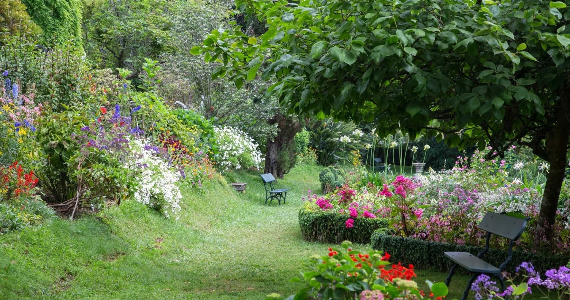 Funchal Old Town & Palheiro Gardens by Tuk-Tuk