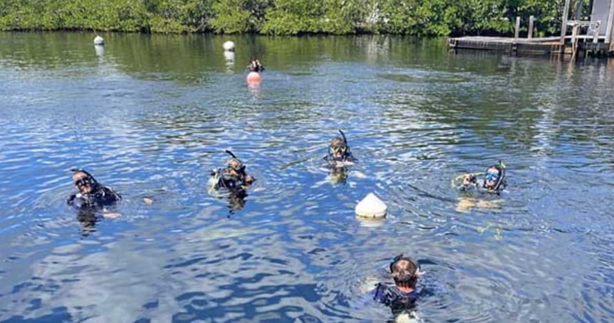 Open Water Referral Class