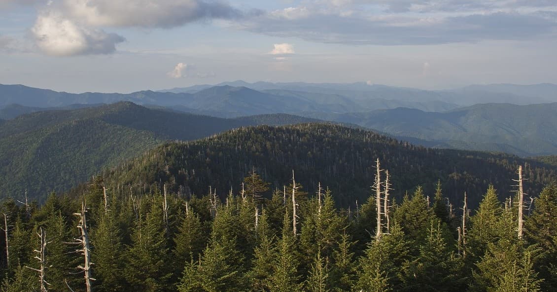 Smoky Mountains Newfound Gap Tour