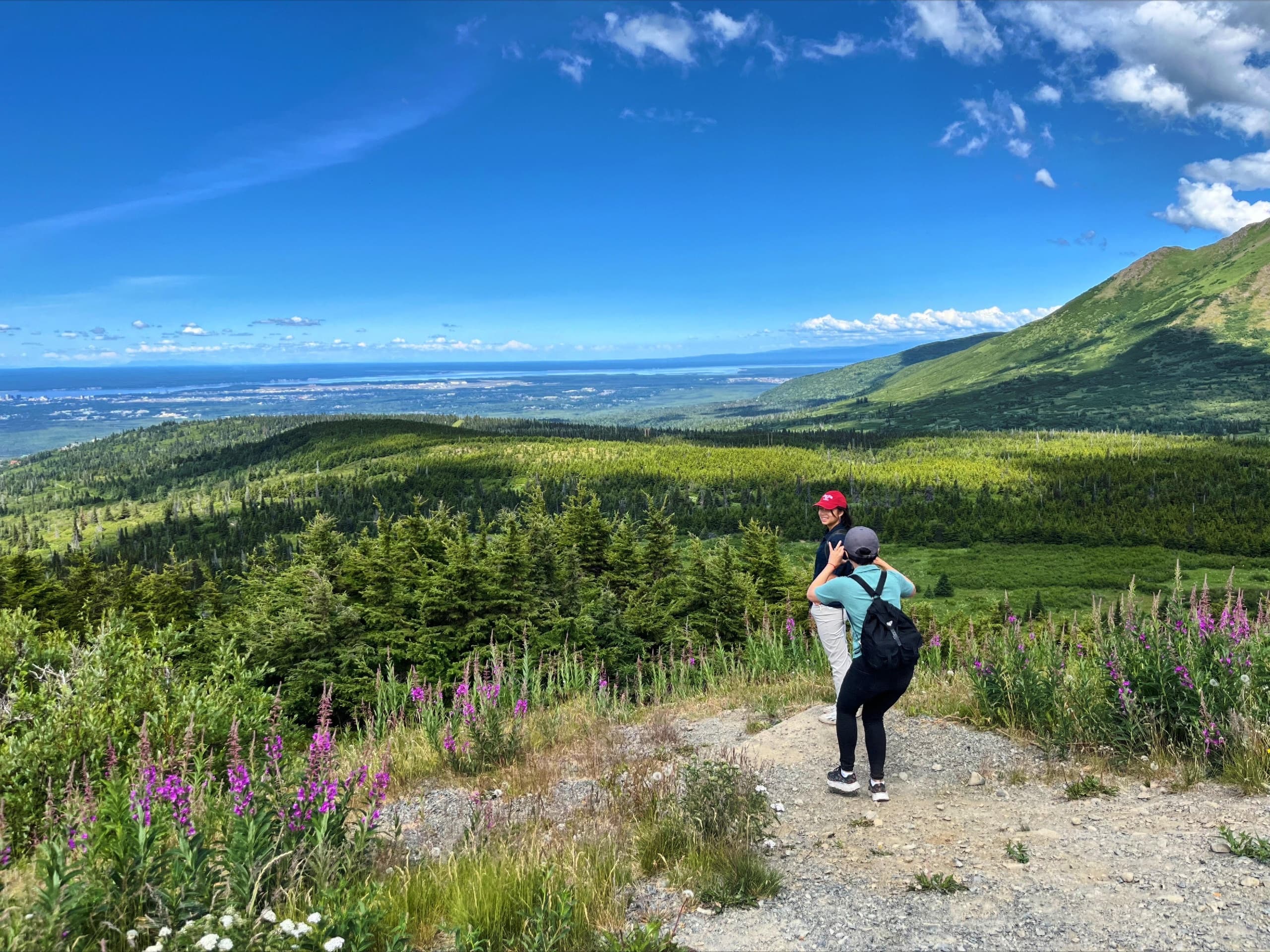 Ride & Roam: Mystery Sightseeing Tour