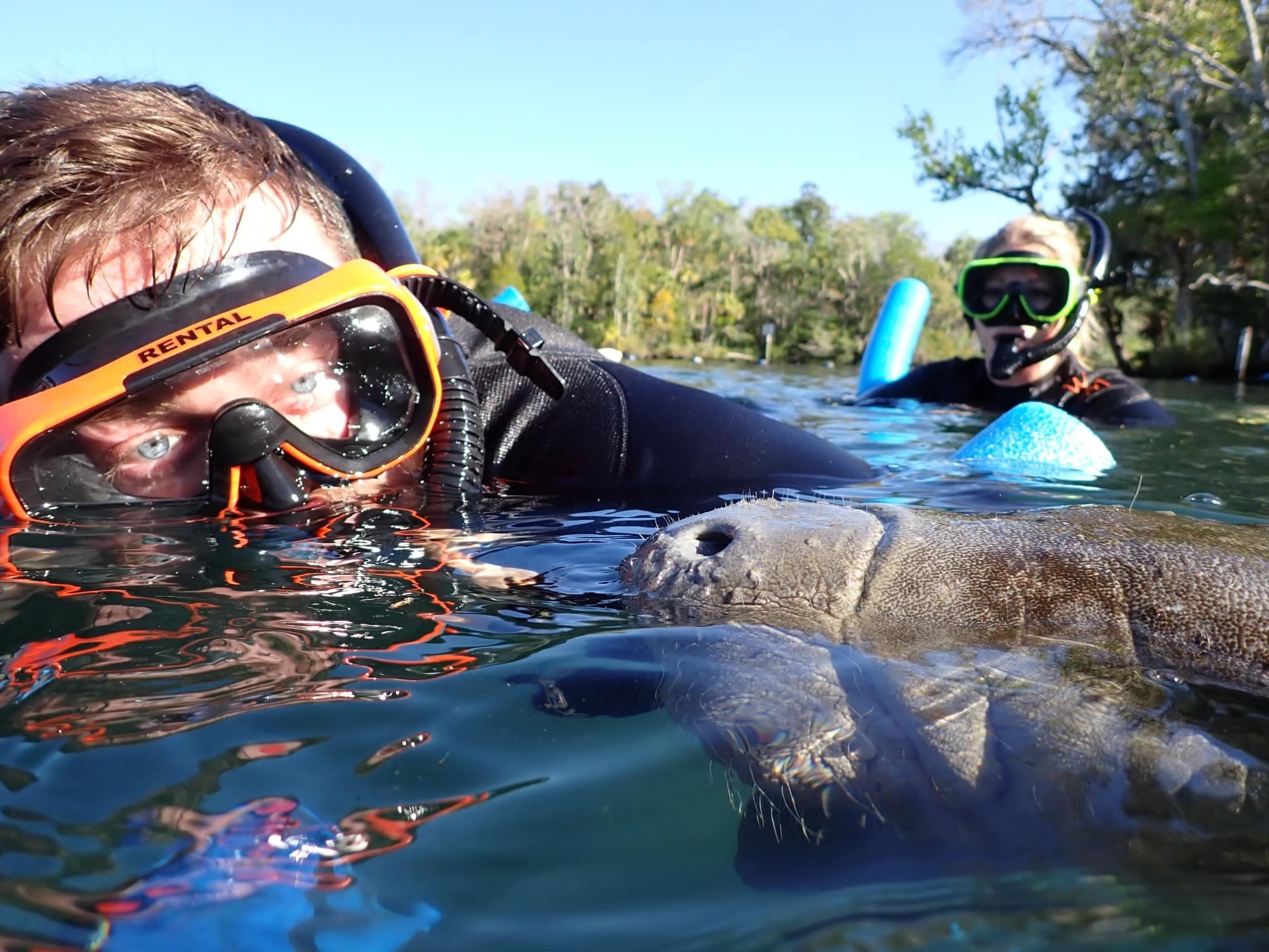 Marvelous Manatee Tour | Shared Boat | Three Hours | Crystal River