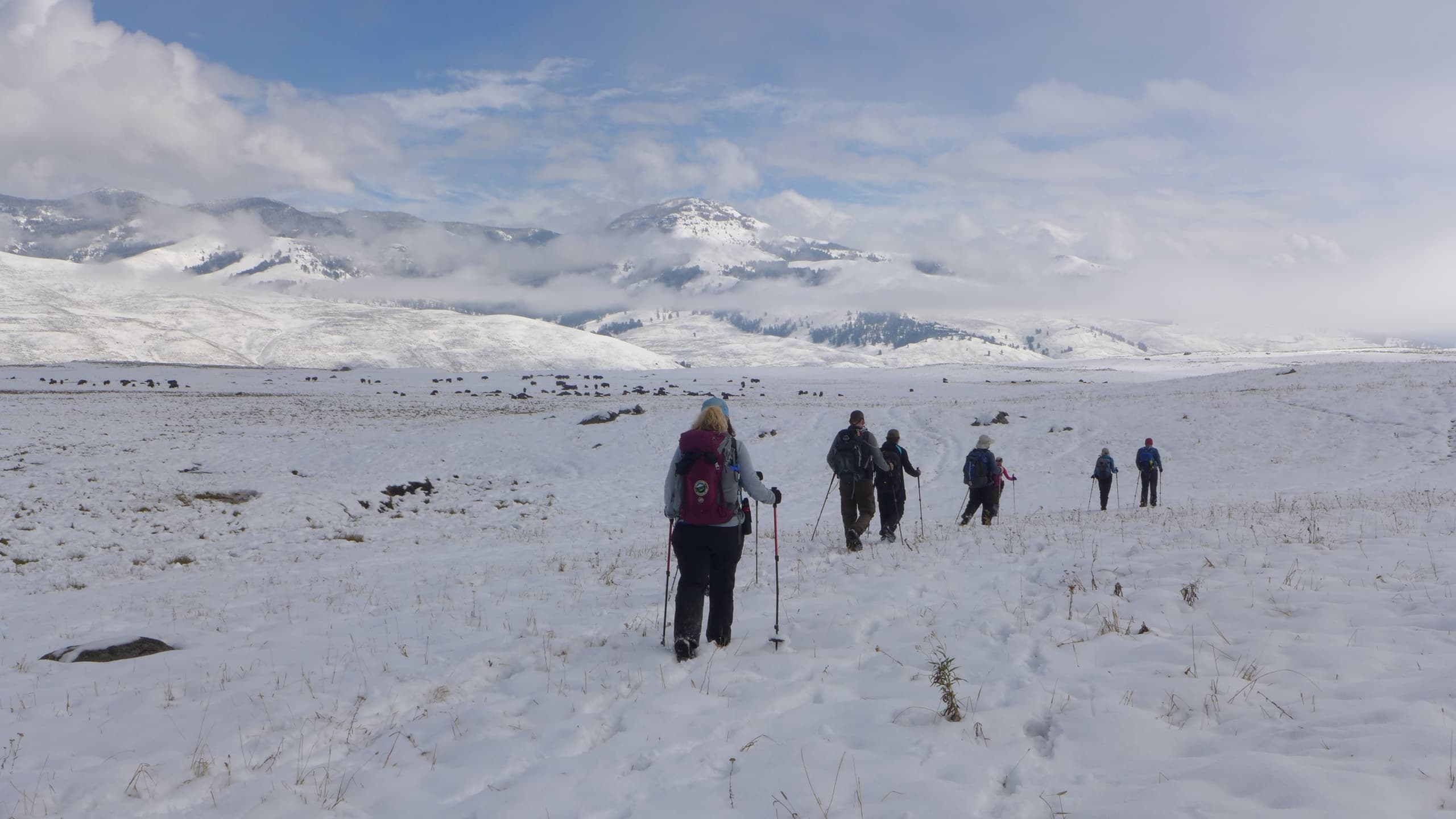 Snowshoe Adventure