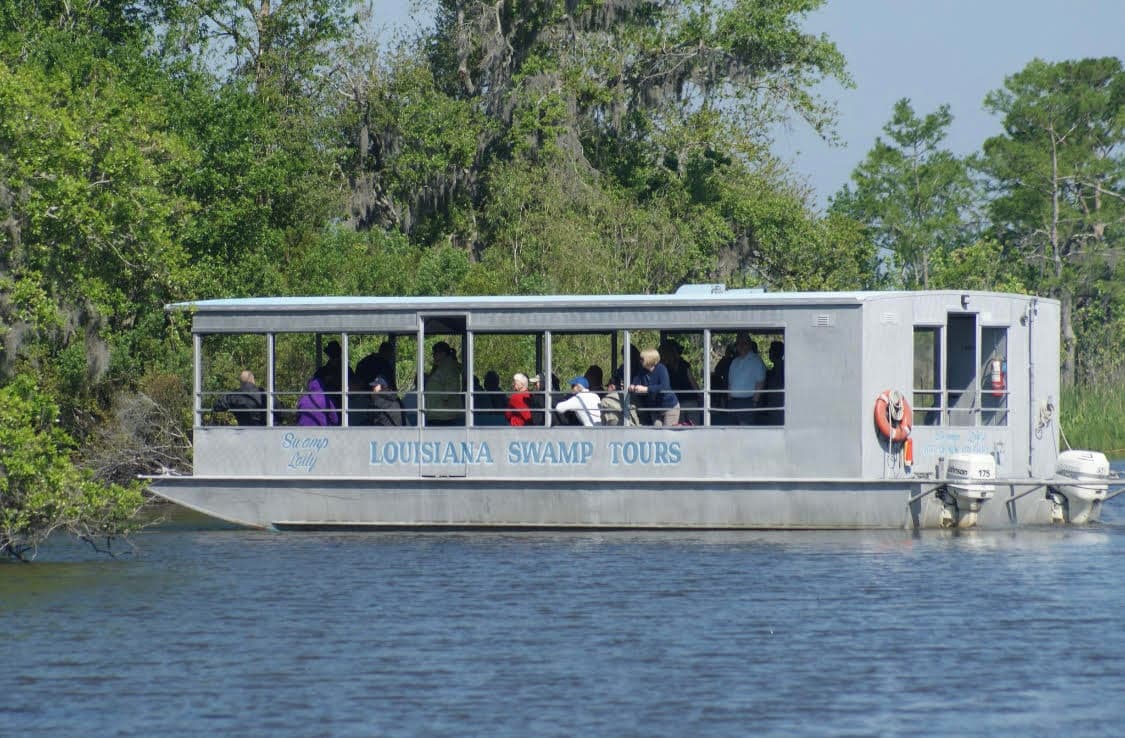 Swamp Tour by Tourboat - Drive Out