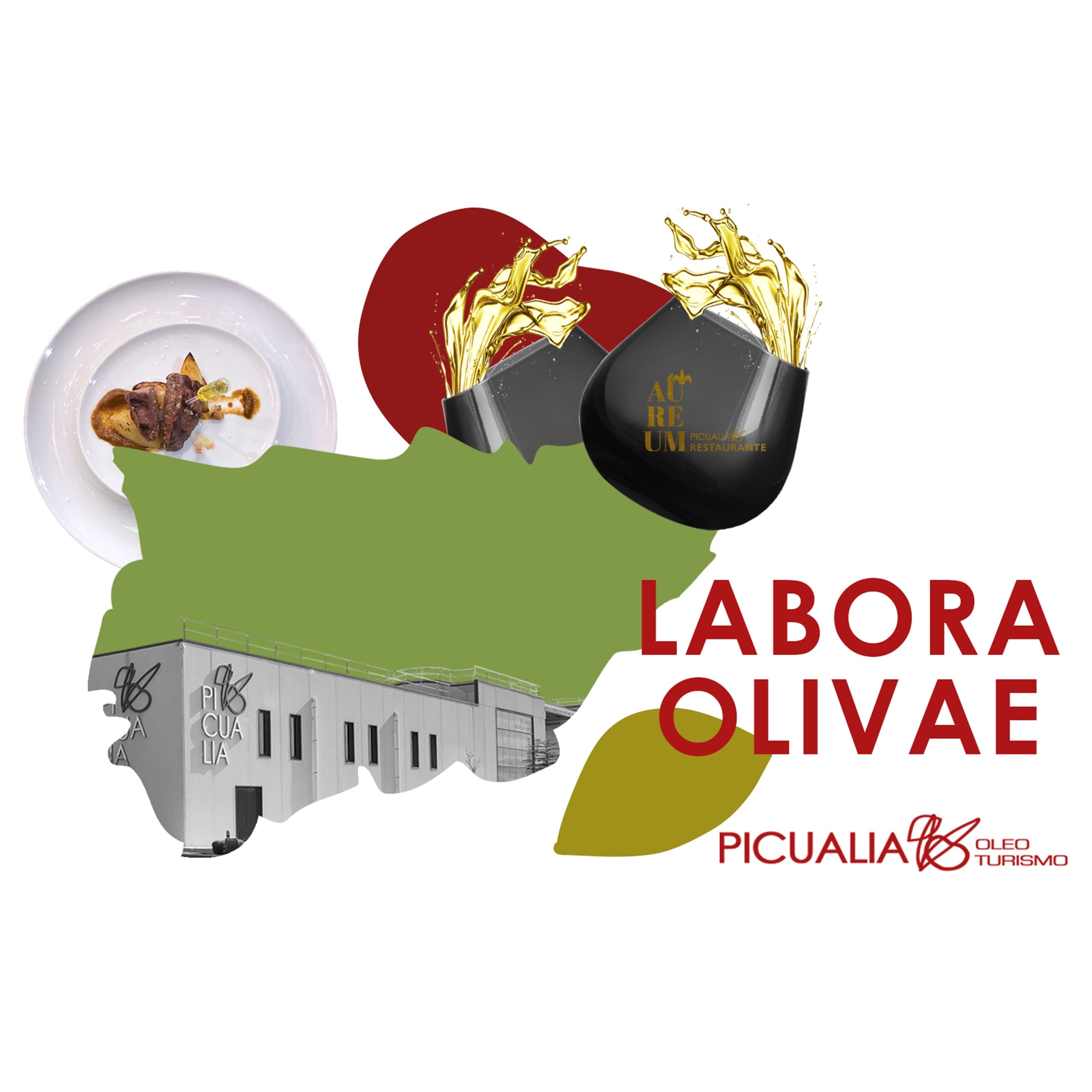LABORA OLIVAE II