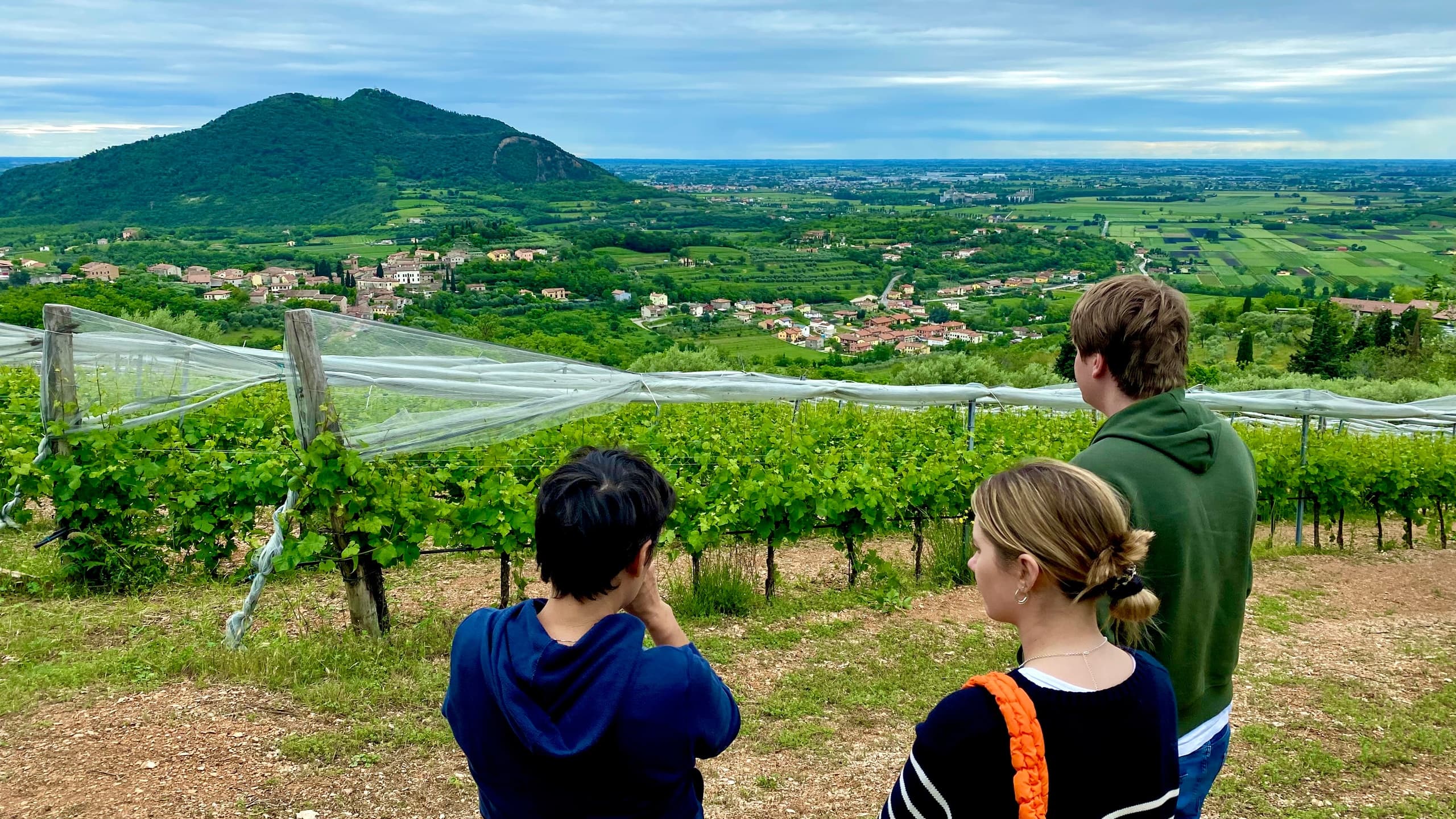 Wine Tour to Venetian Hills