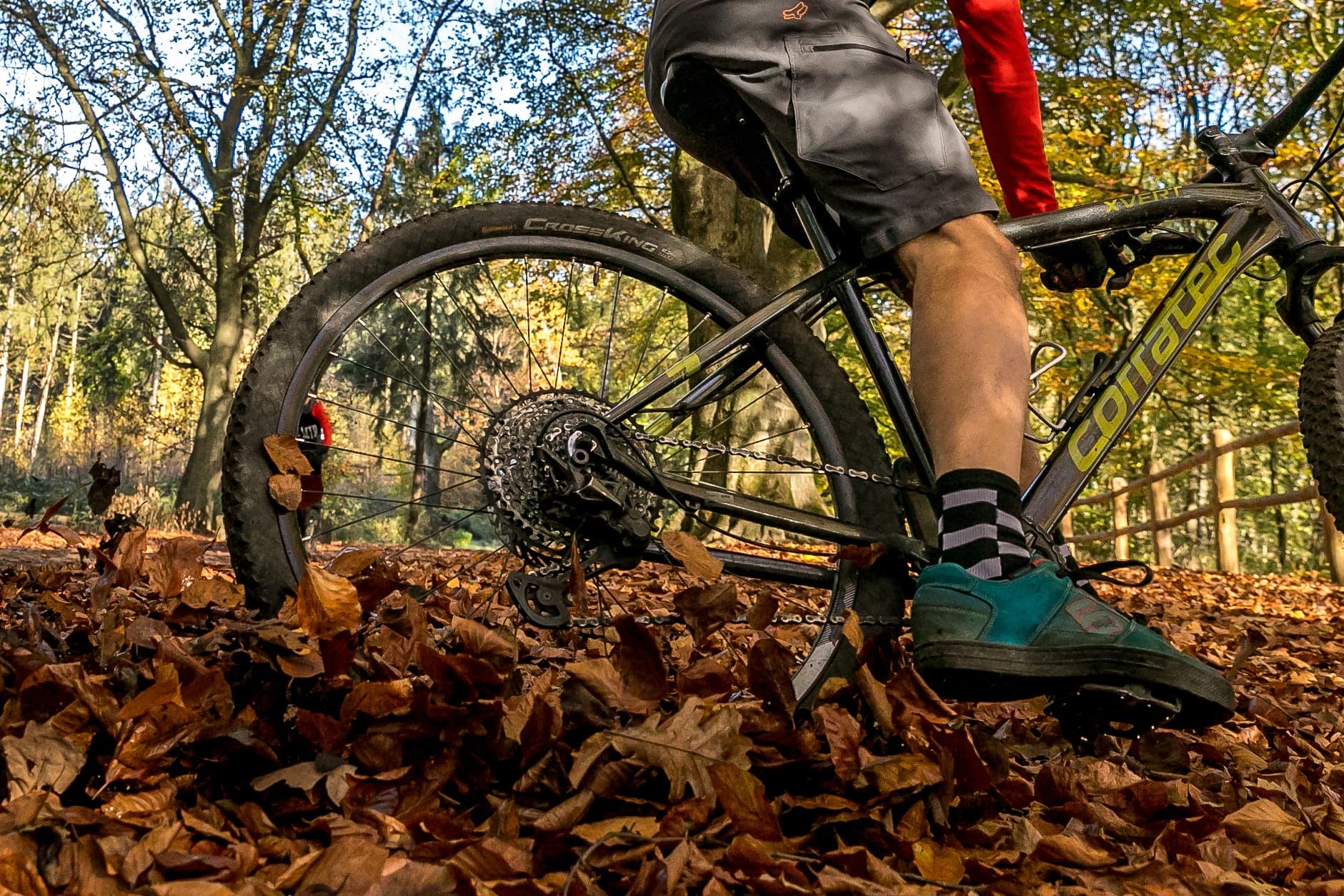 Route Hoge- en Lage Vuursche • Dagdeel 3 uur lang