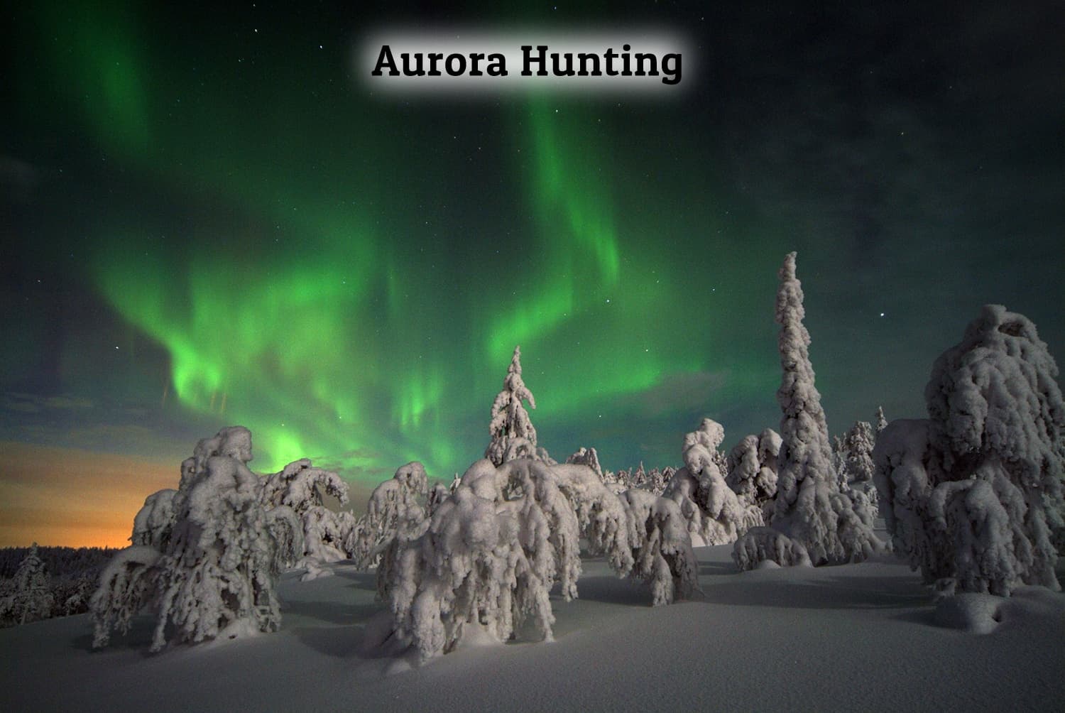 Northern Light safari by snowmobile - 2,5 hours