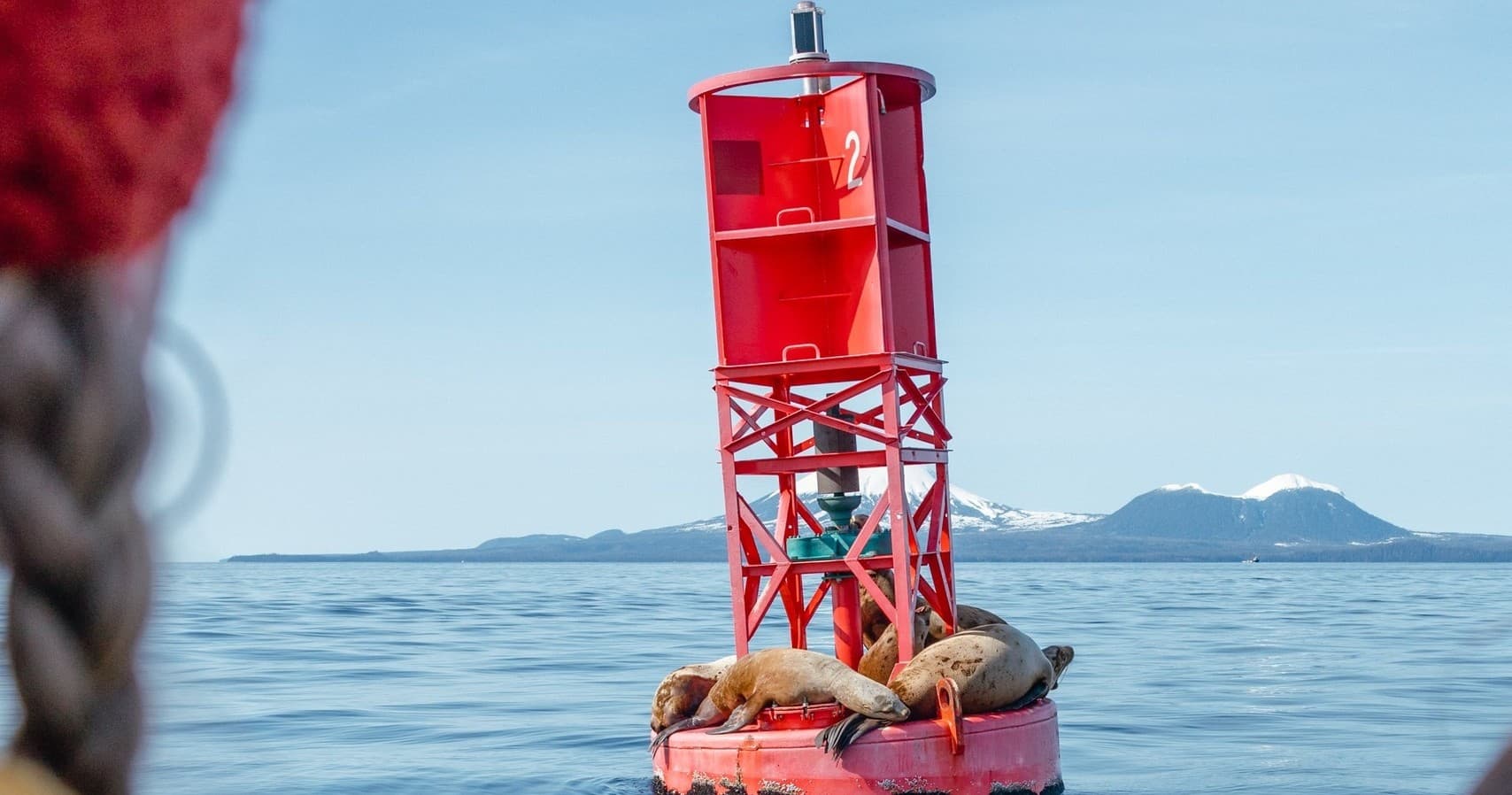 Sitka Wildlife & Scenic Private Party Boat Tour